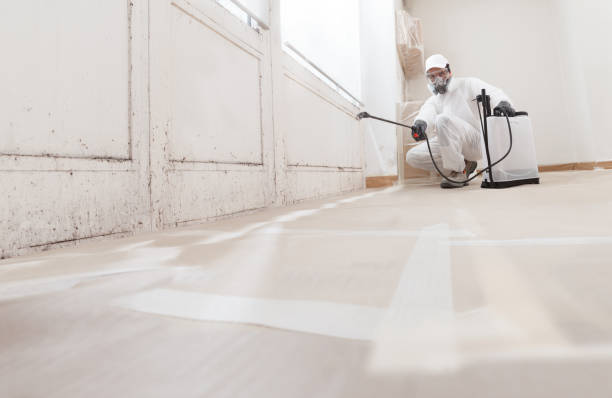 24/7 Emergency Black Mold Remediation experts in Crocheron, MD